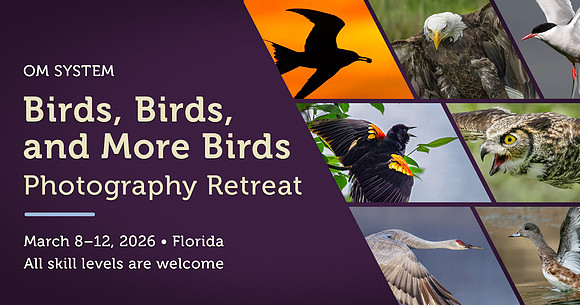 retreat-mar26-birds-florida-fb1200x630