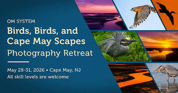 retreat-may26-birdsandscapes-capemay-fb1200x630