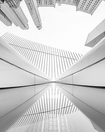 20180627-_6271789